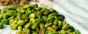 What are the best types of pistachio kernels for export from Iran to Germany?