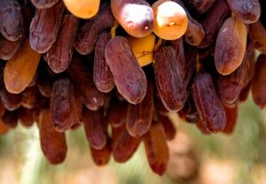 The most attractive dates in the world to buy