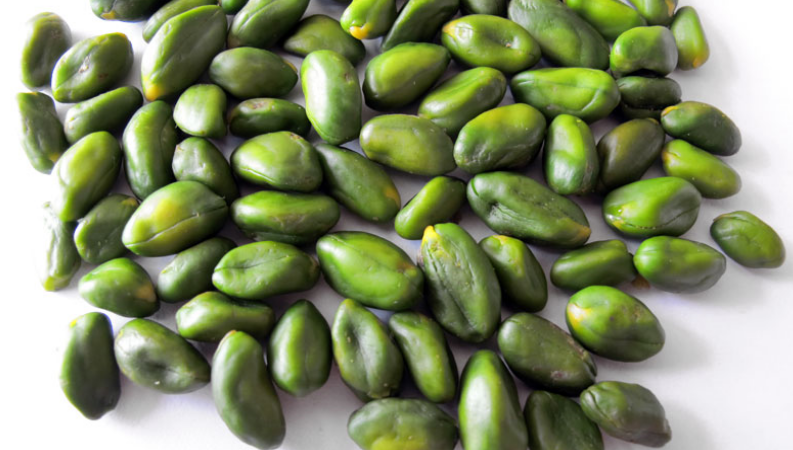 Sale of Iranian green pistachio kernels to China
