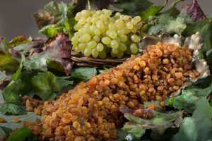 Export of high quality raisins to Europe