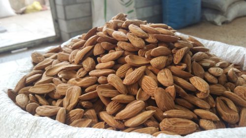 Mamra almond kernel and its export selling price