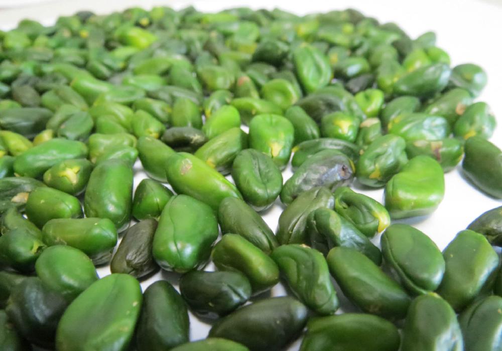  Export of skinless green pistachio kernels to Lebanon
