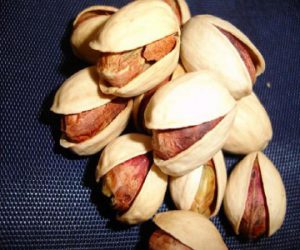 Iranian Kale ghouchi Pistachio Production Factory