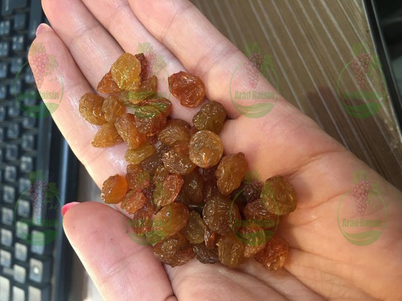  Seedless Iranian raisins for wholesale and export