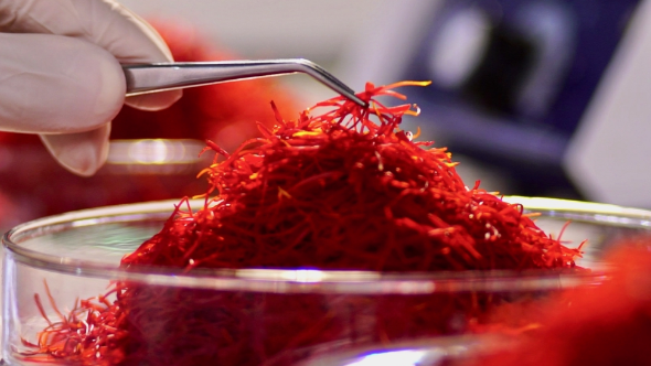 Saffron is suitable for export to Oman