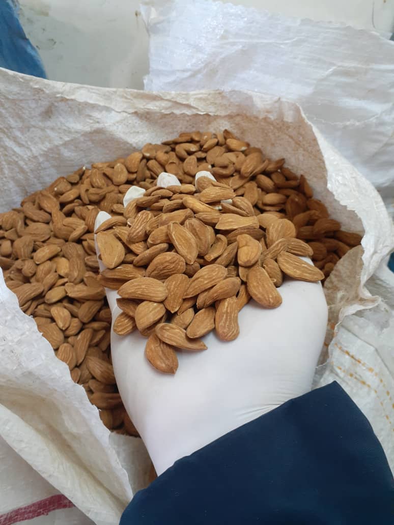 Mamra almond kernel and its export selling price