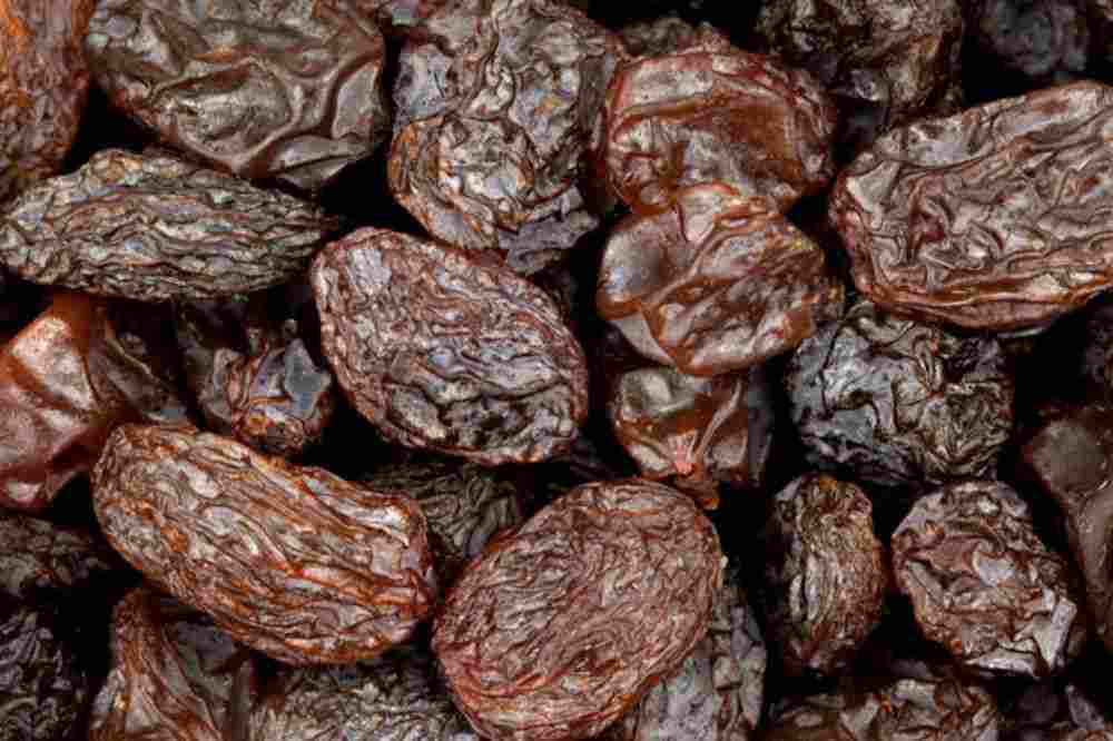 price of raisins in 1400/2021 | Iranian raisins