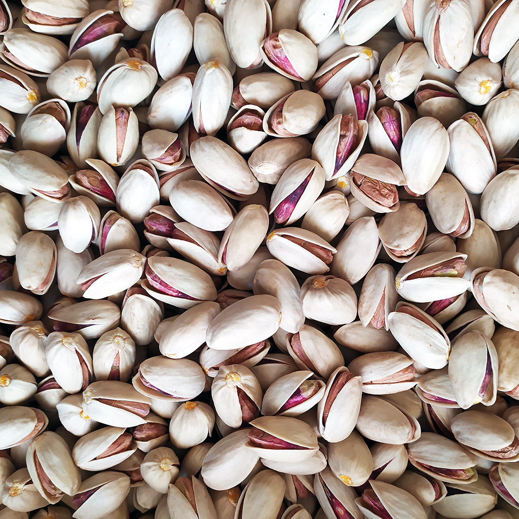 Supply of Rafsanjan pistachio nuts at a reasonable price