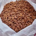 Major supply of Mamra almonds