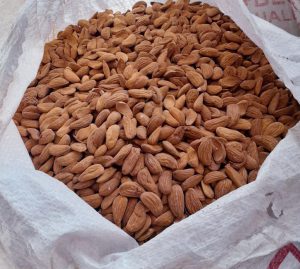Major supply of Mamra almonds