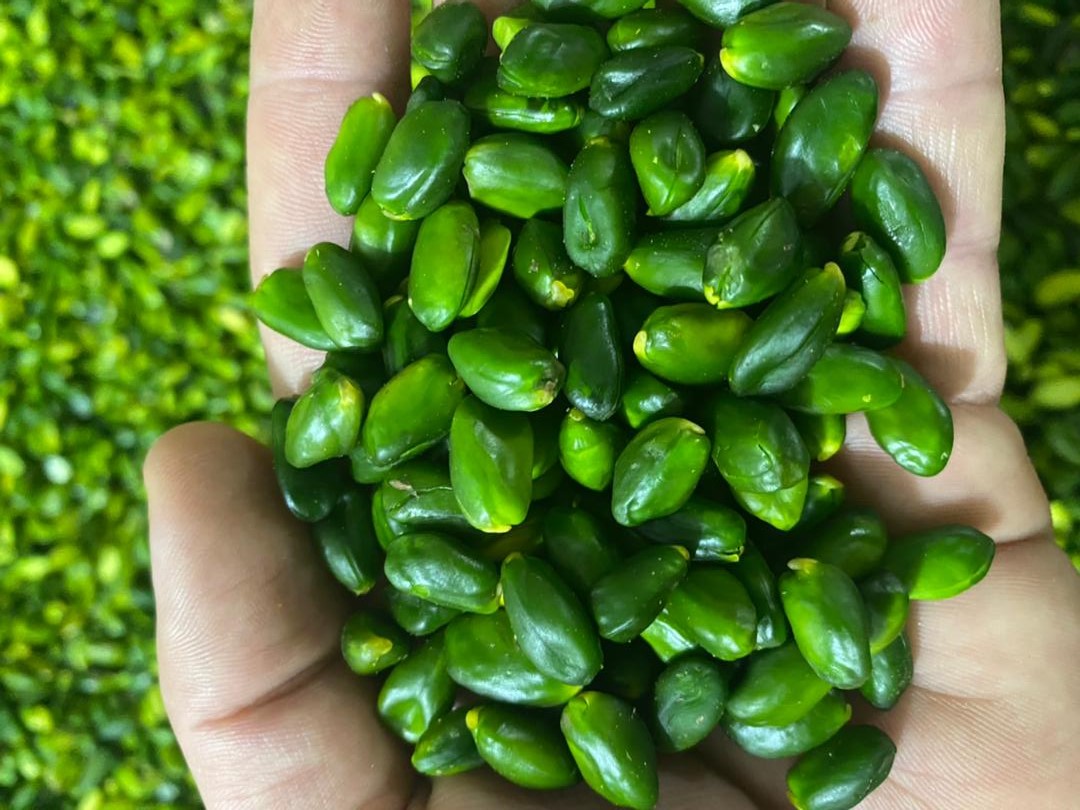  Online sale price of green pistachio kernels