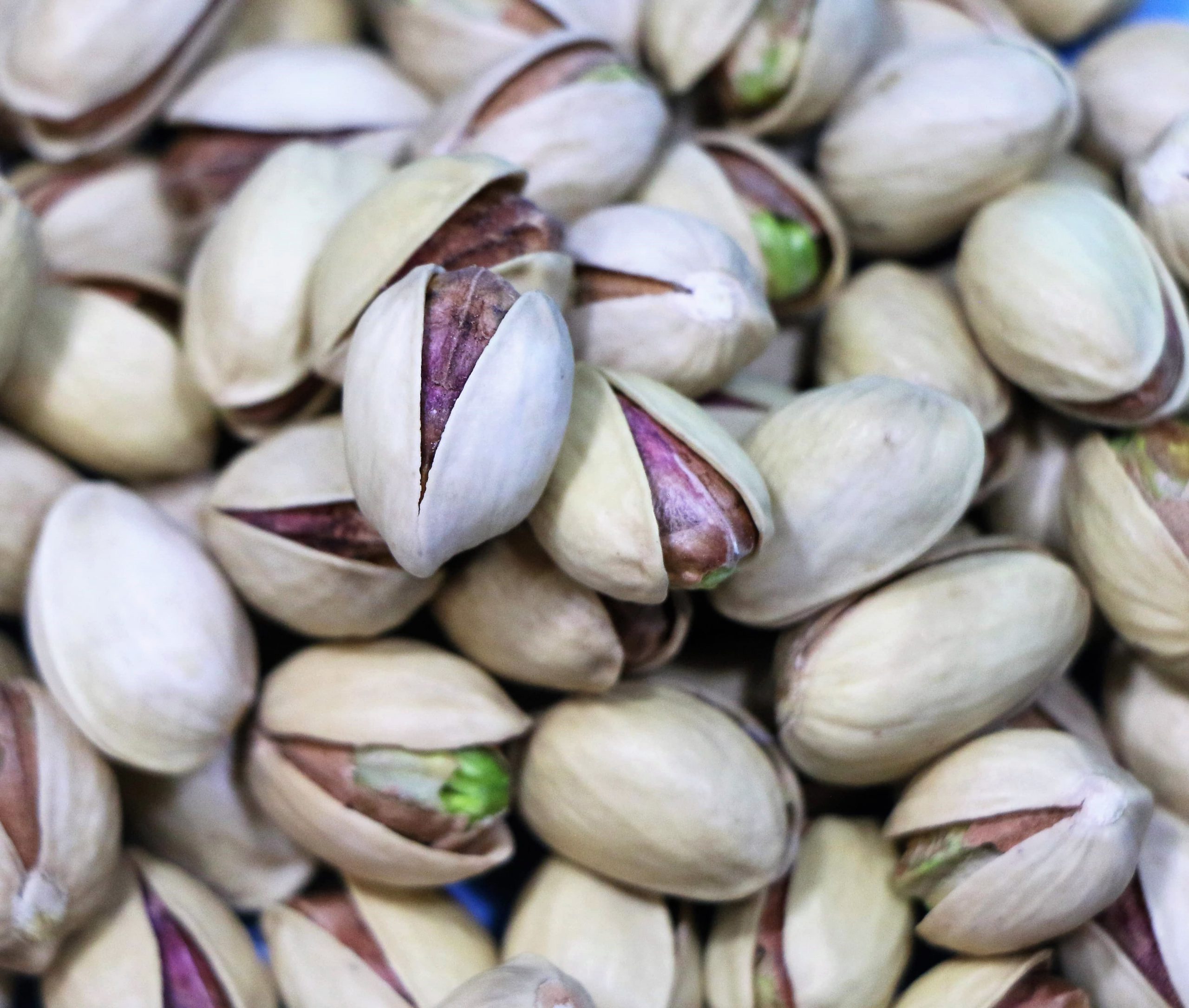 Export of almonds and pistachios of Nutex company