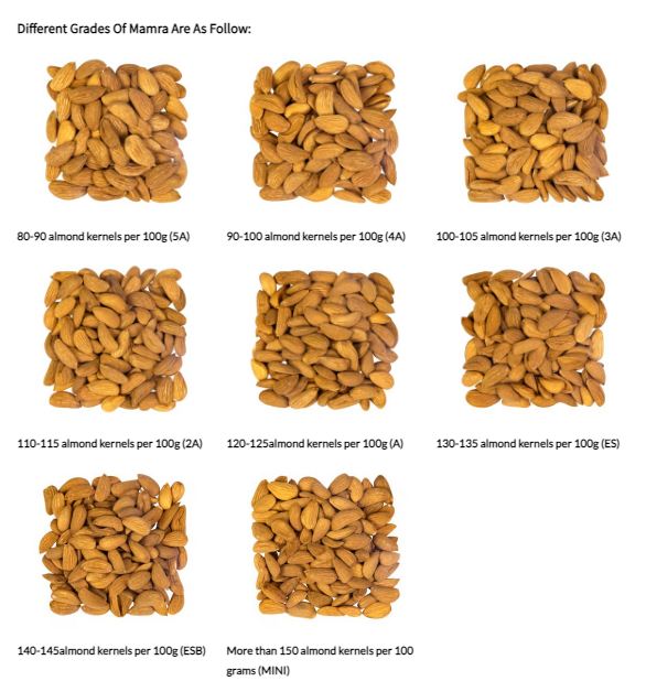 Supply and Distribution of Iranian Mamra Almond Kernels in India