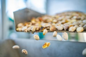 Sale of Iranian Mechanical Open Pistachios in Russia