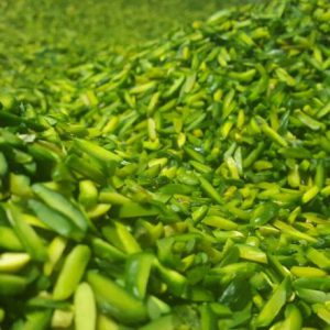 Supply and Distribution of Iranian Pistachio Slices