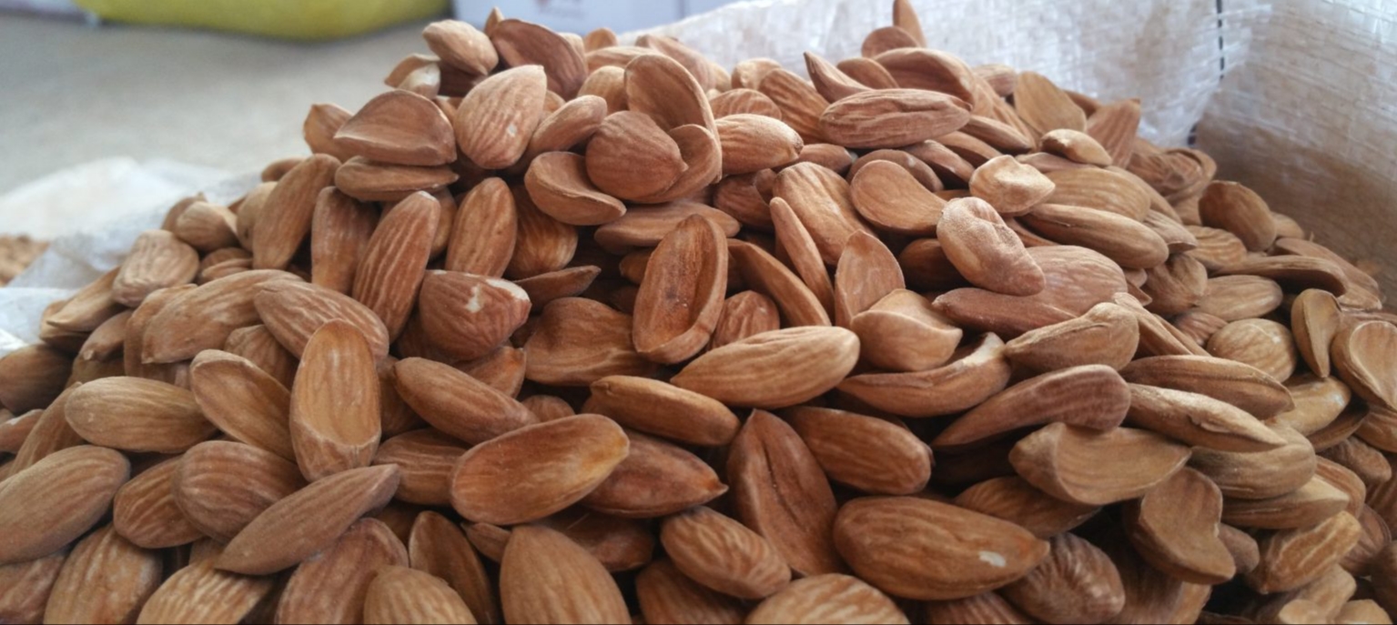 Direct purchase of Iranian Mamra almonds