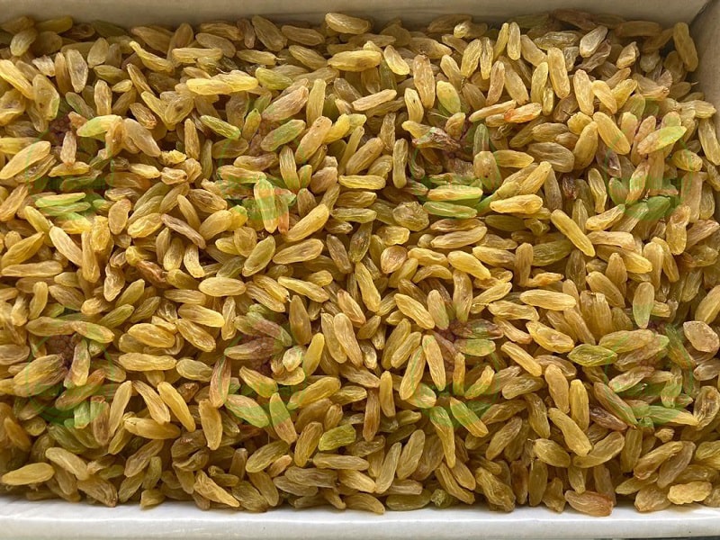 Premium Kashmar Raisins Supplier | Iranian Dried Fruits