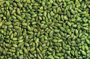 Green Pistachio Kernel Supplier and Exporter