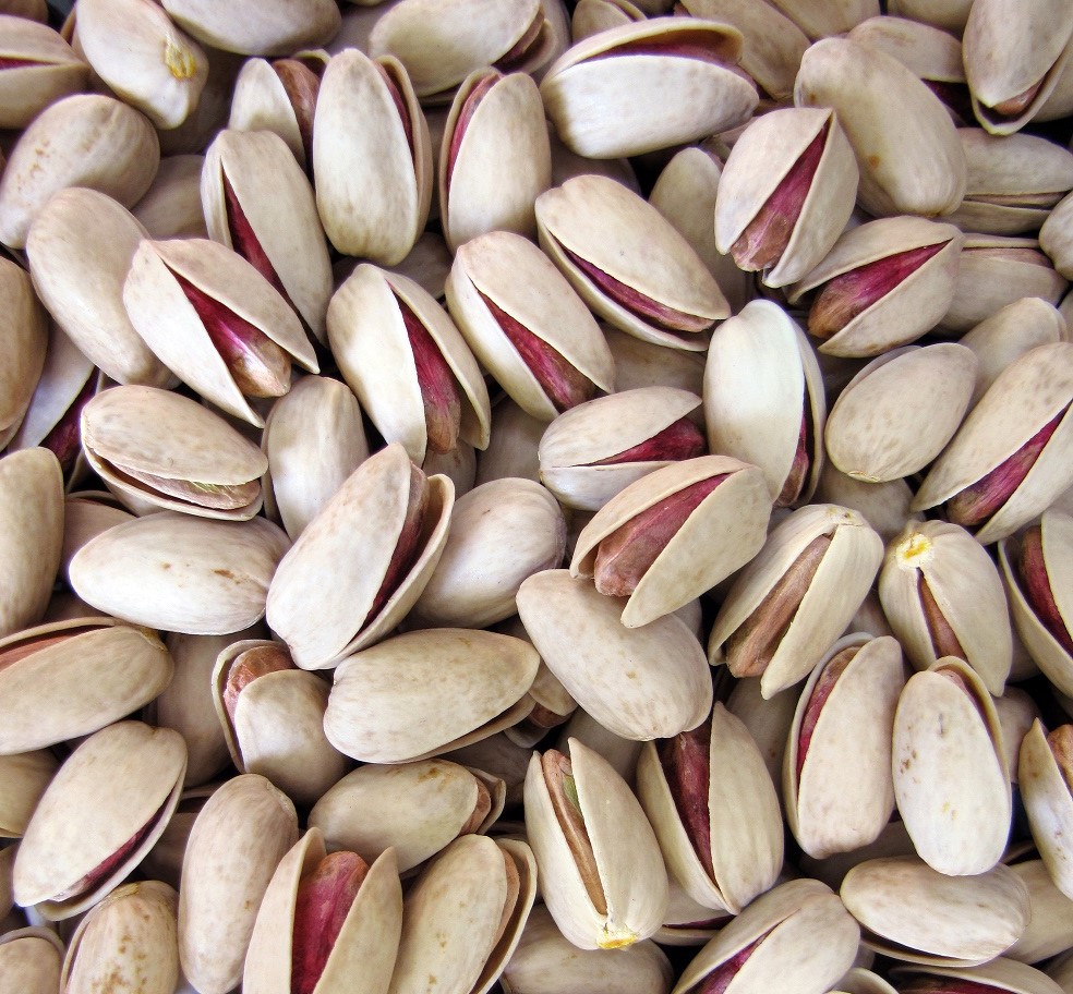 Buy Pistachios in Rafsanjan at the Cheapest Price