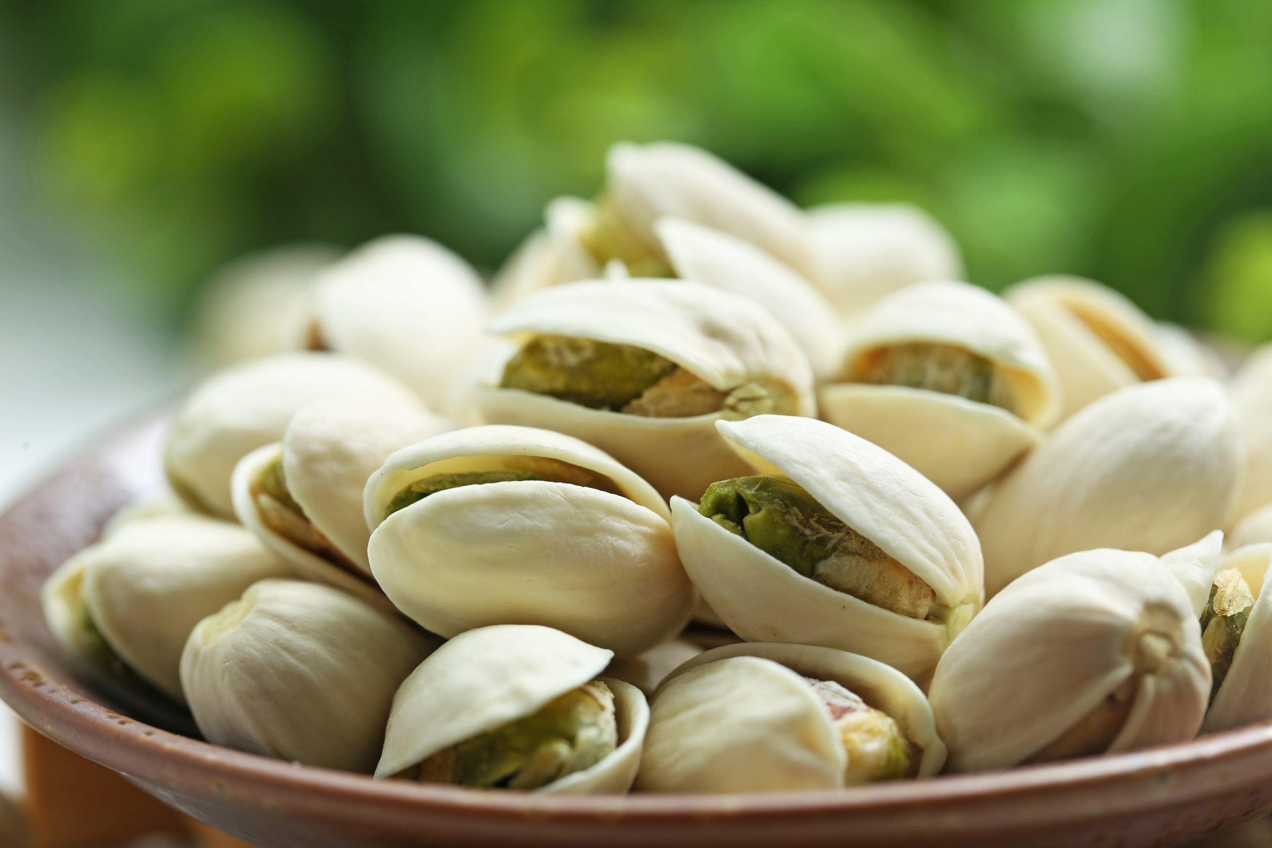Export of Iranian pistachios | Pistachio Trade