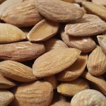 Production of Iranian Almond kernels | Almond Kernel Factory