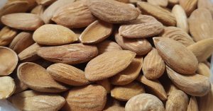 Production of Iranian Almond kernels | Almond Kernel Factory