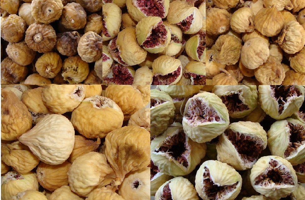 Supplier of first-class figs in Iran