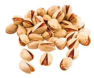 Kale Ghoochi Pistachio Supply in the UAE | Jumbo Pistachio Nuts