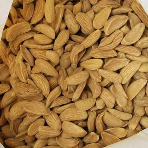 Supply Mamra almonds in the Indian and Dubai markets