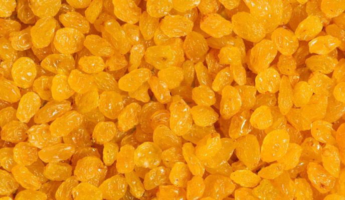 Golden raisins price - Wholesale yellow raisins