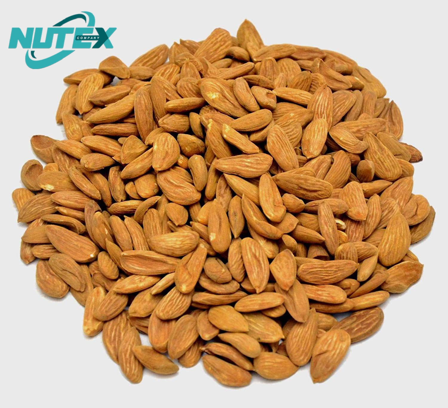  Mamra Almond Suppliers in Asia | Iranian Nuts 