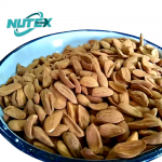 Mamra Almond Suppliers in Asia | Iranian Nuts
