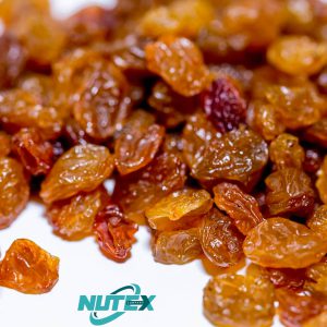 Buy Bulk Raisins | Largest Exporter of Iranian Raisins