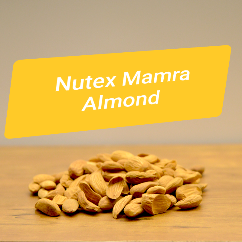 Iranian Mamra Almonds Supplier and Exporter