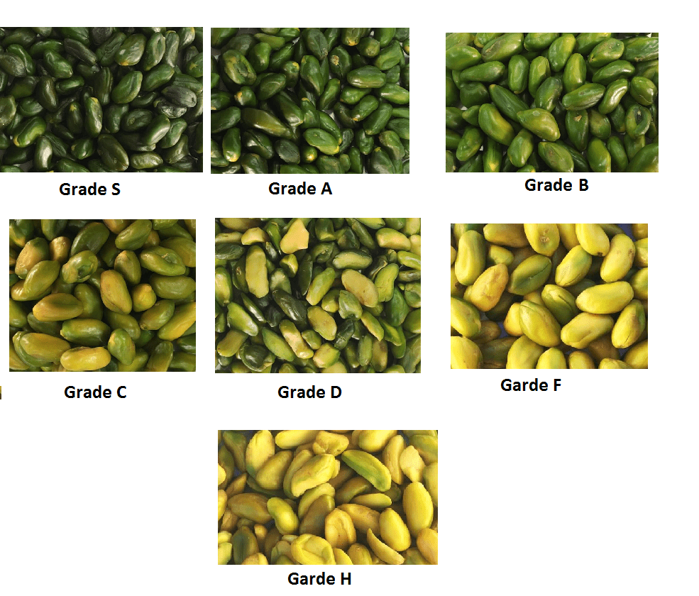 Vacuum packed and daily prices of green pistachio kernels