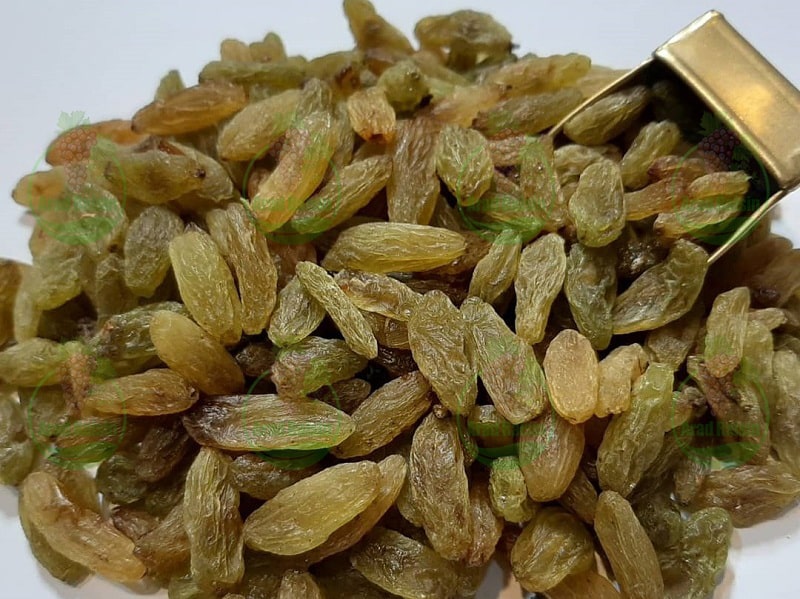 Buy Bulk Raisins | Largest Exporter of Iranian Raisins