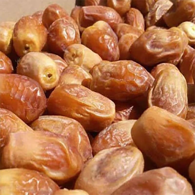 Import of Various Types of Dates to Canada_ Nutex Company