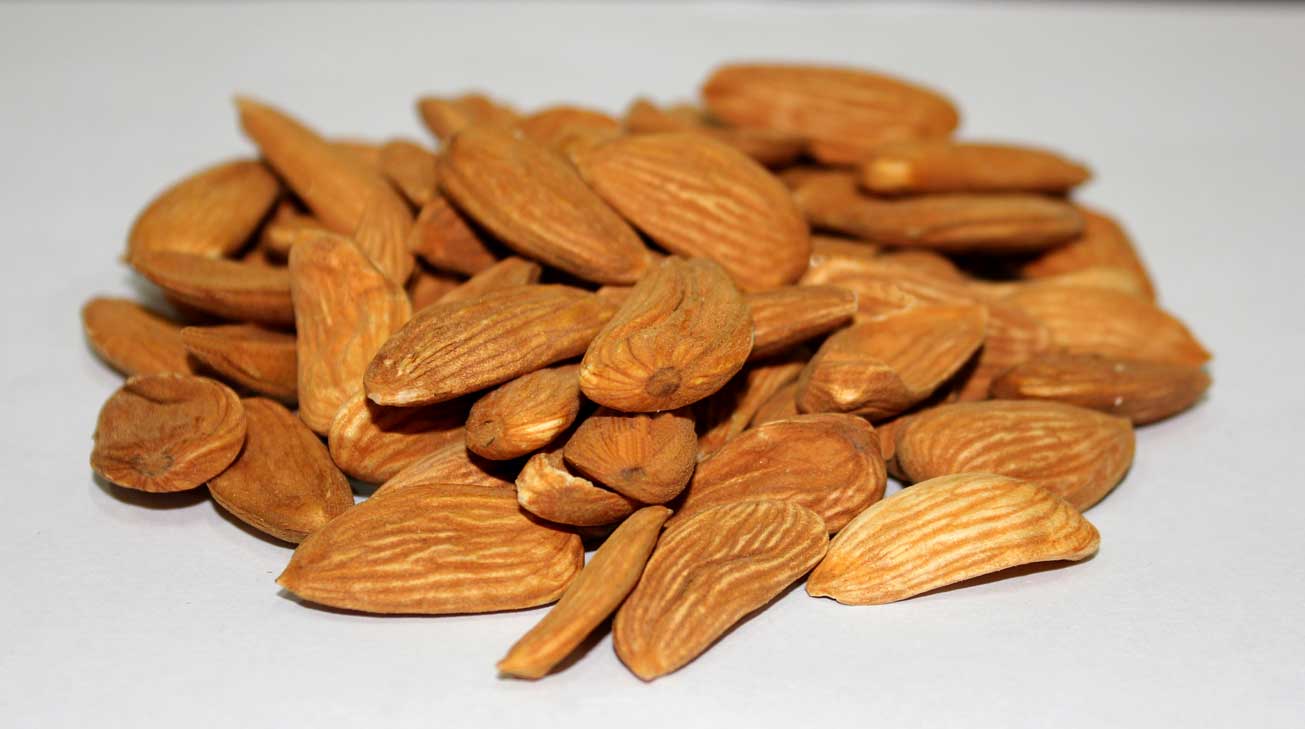 The Main Supplier of Mamra Almonds in Iran