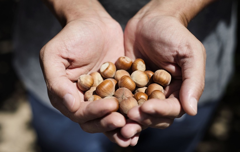 Benefits of eating nuts in COVID-19
