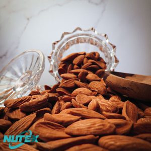 Mamra Almond Manufacturers in Iran | Nutex Nuts