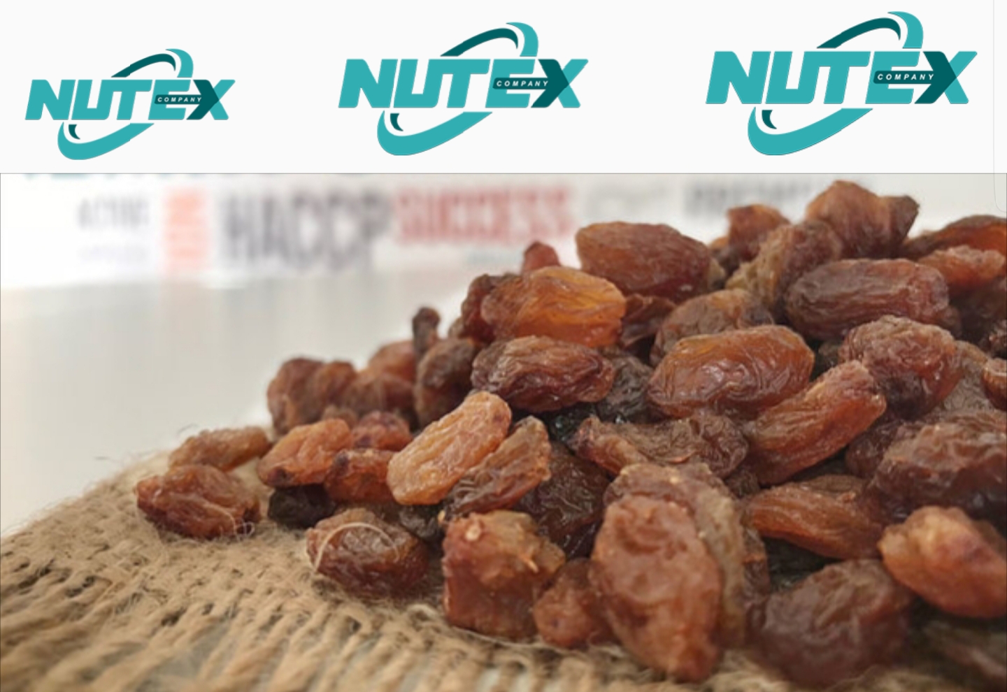 Sultana Raisins Supplier (Dark Brown Raisin)_ Nutex Trading