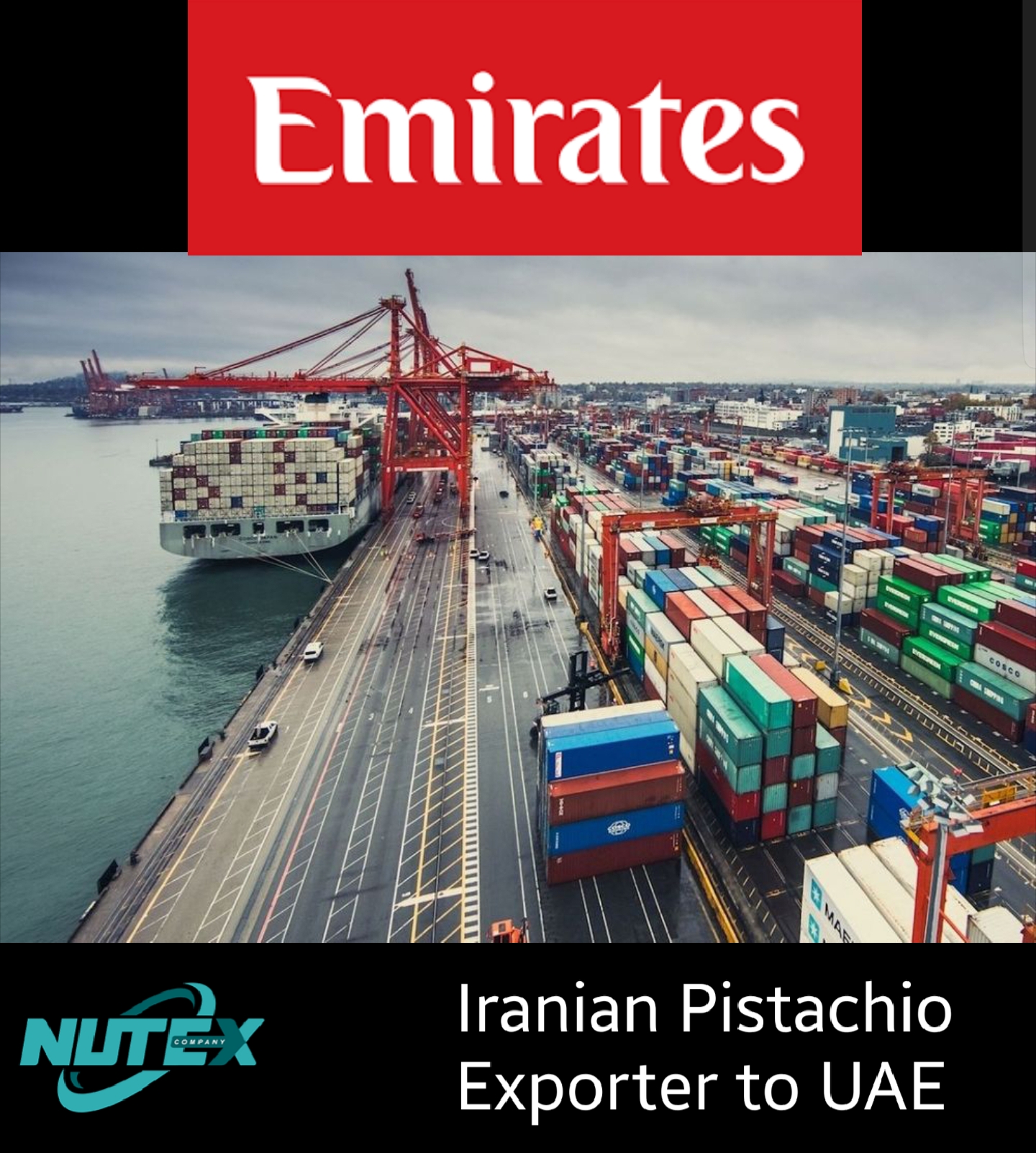 Iranian Pistachios Exporter to the UAE_ Tejarat Pouya Trade Factories and Trading Companies (Nutex)