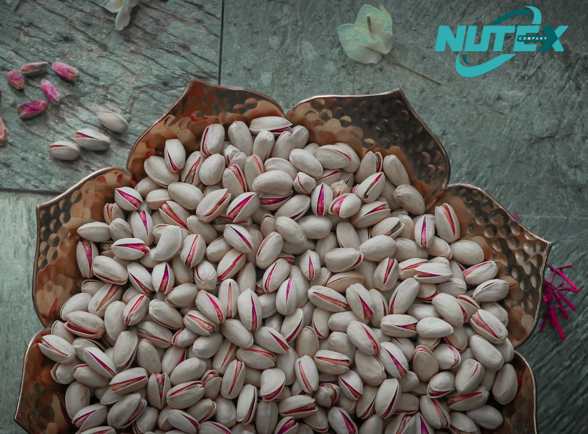 Best Long Pistachio in Iran for Wholesale | (Ahmad Aghaei)_ Nutex Company