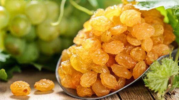 Golden Raisins | Buy Iranian Raisins | Benefits of Raisins_Tejarat Pouya Company(Nutex)