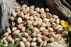 Buy Raw Round Pistachio ( Fandoghi ) | Nutex Company