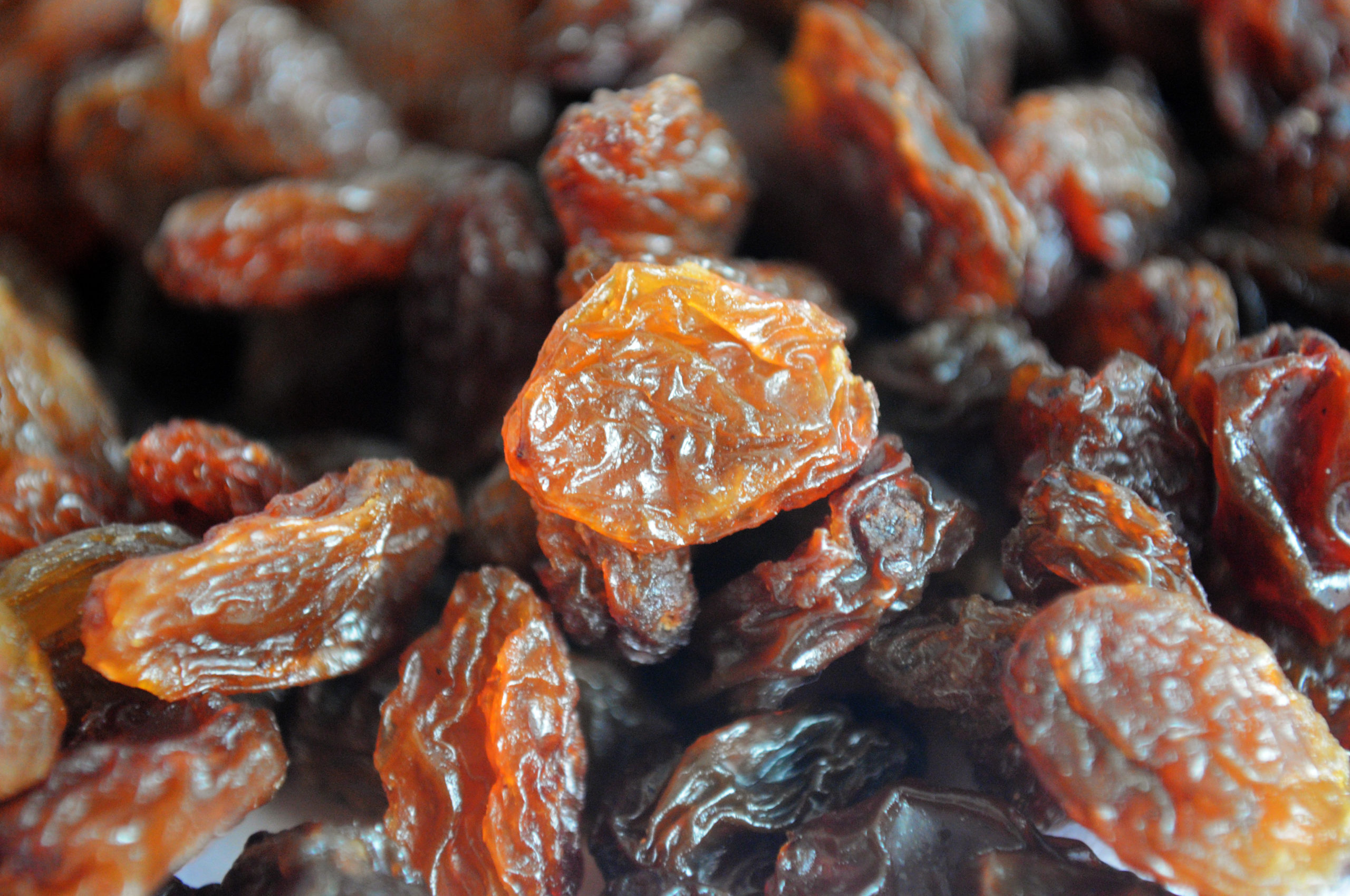 When and where to buy Sultana raisins?_ Nutex