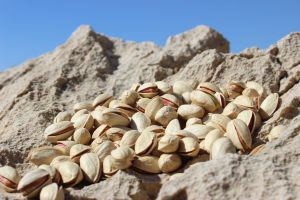 Akbari Pistachios Market – Nutex Nuts Wholesale