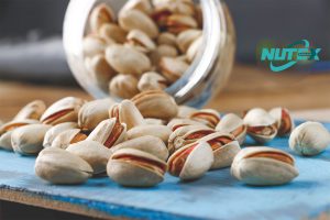 Iranian Pistachio Production and Processing Factory_ Nutex