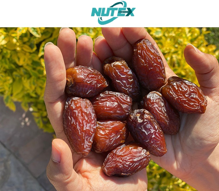 Nutex Dates Factory | Iranian Dates Manufacturer