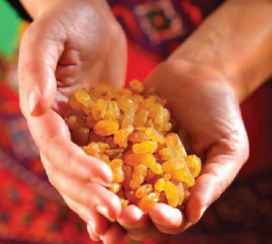 Iranian Raisin Company | Dried Fruits Supplier & Manufacturer_ Nutex Co